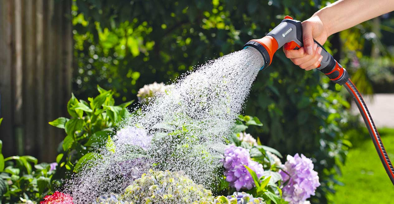 10 golden rules for watering
