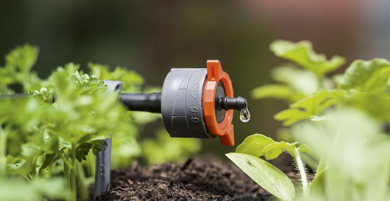 Always room for a kitchen garden!