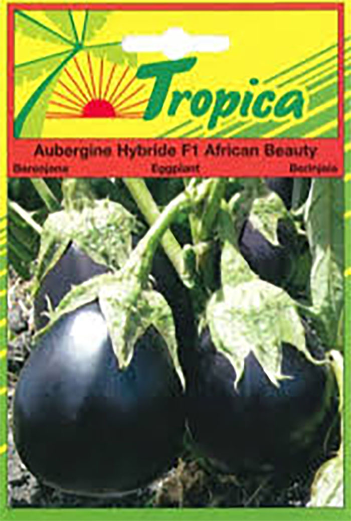 Espace Maison Aubergine African Beauty F1 seeds
