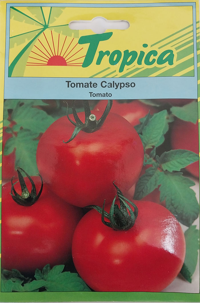 Espace Maison Seed Calypso Tomato
