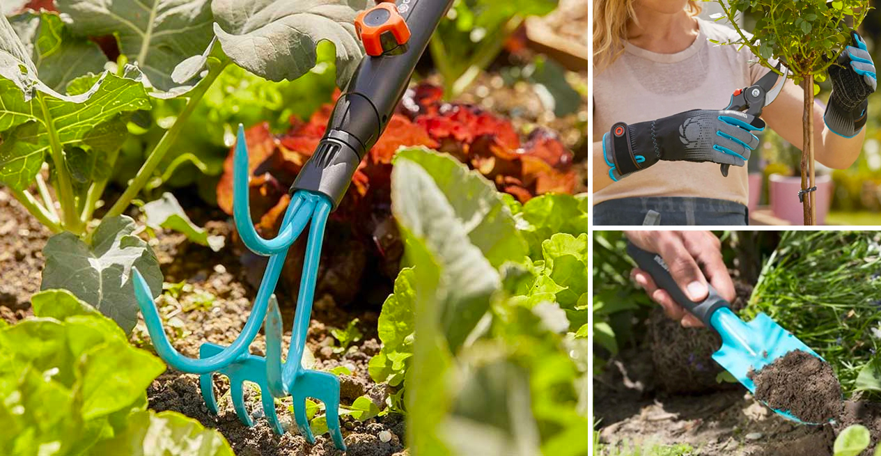 How to create a vegetable patch